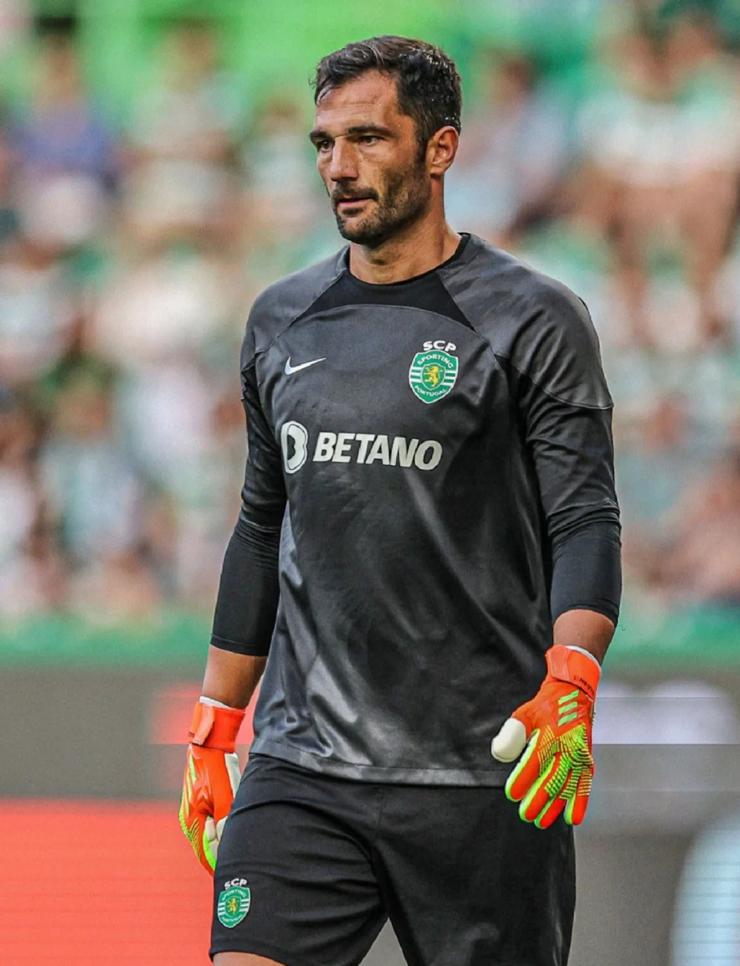 冠军之路一位守门员在比赛中展现出色技术的英文 冠军之路一位守门员在比赛中展现出色技术的英文