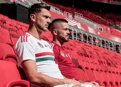 爱游戏体育-奥地利与波黑世预赛