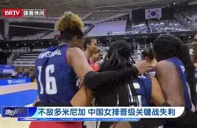 奥地利与波黑世预赛