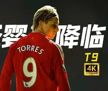 爱游戏体育-图卢兹tse